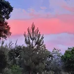 Rurales Candela