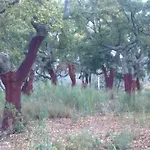 Rurales Candela Апартаменты Каньямеро