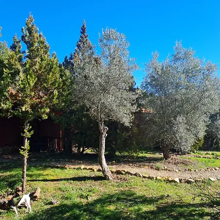 Apartman Rurales Candela Cañamero