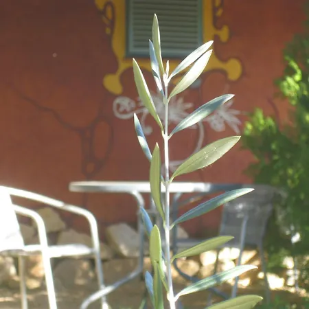 Rurales Candela Canamero
