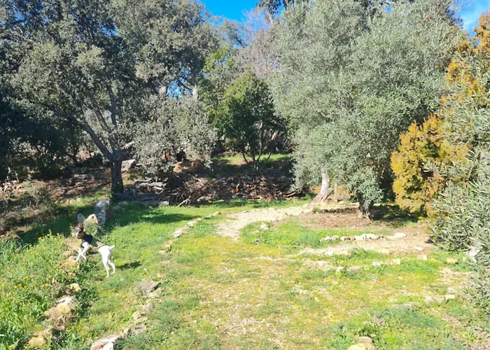 Rurales Candela Apartamento Cañamero