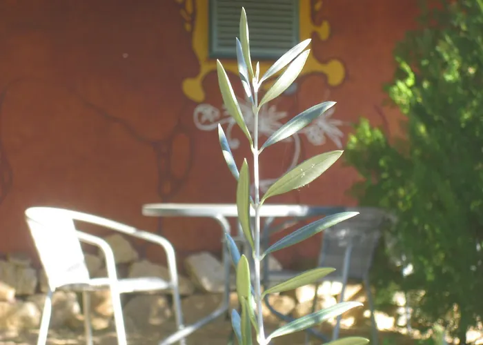 Rurales Candela Cañamero