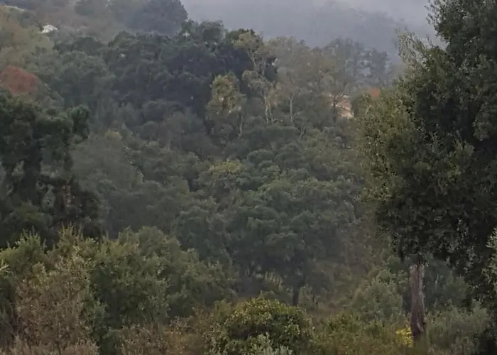 Apartamento Rurales Candela