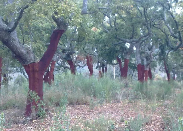 Rurales Candela Apartamento Cañamero