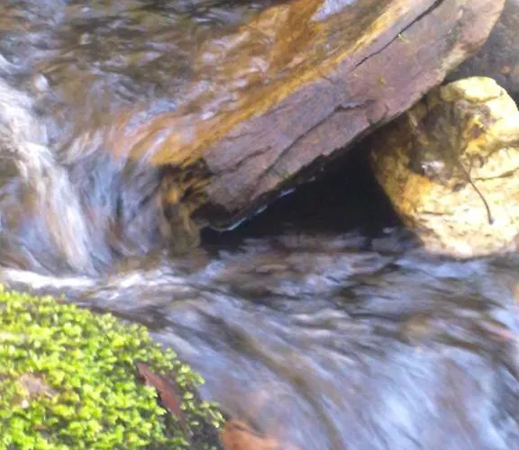 Apartamento Rurales Candela *